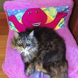 Meet your Posher, Marnie